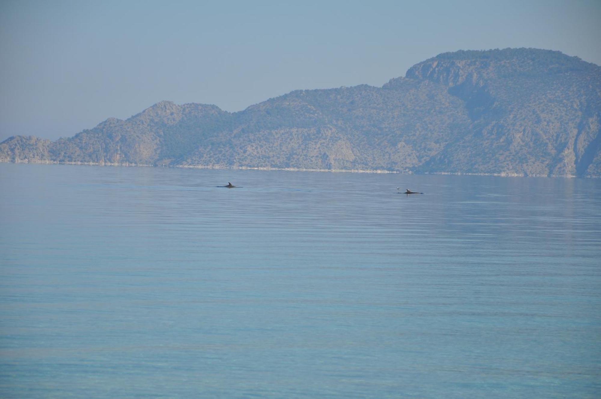 Villa In Kalloni Direkt Am Meer, Tolle Aussicht Εξωτερικό φωτογραφία